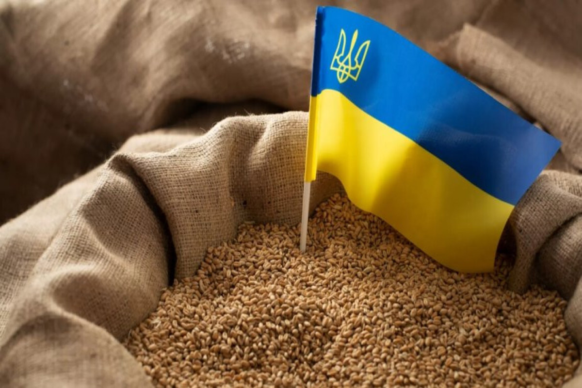 Ukrainian Prime Minister warns Poland