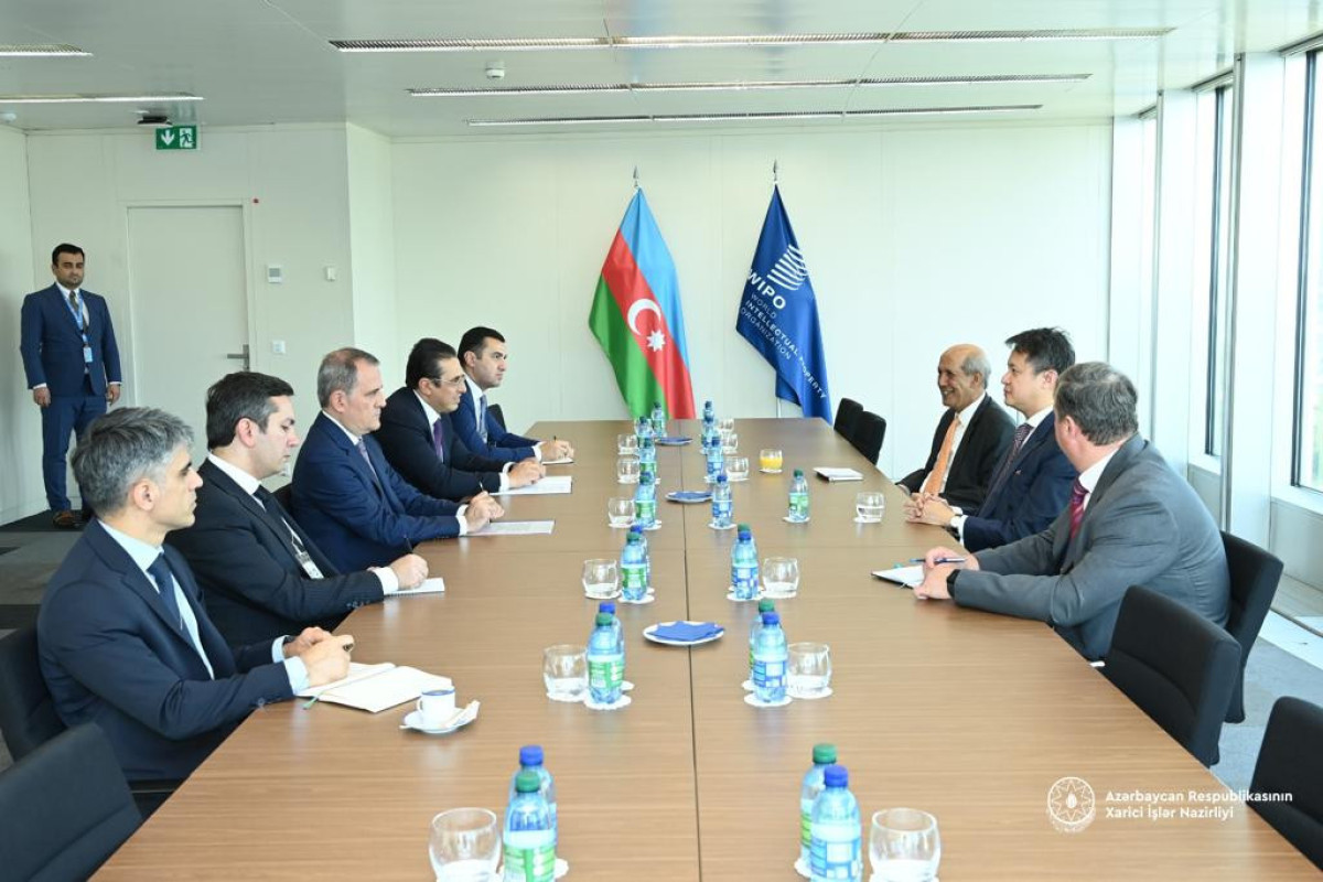Azerbaijani FM meets with Director General of World Intellectual Property Organization