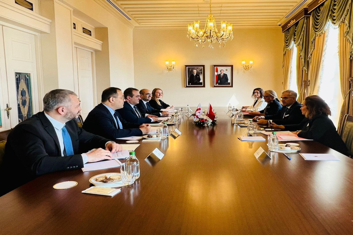 Türkiye-Georgia political consultations held