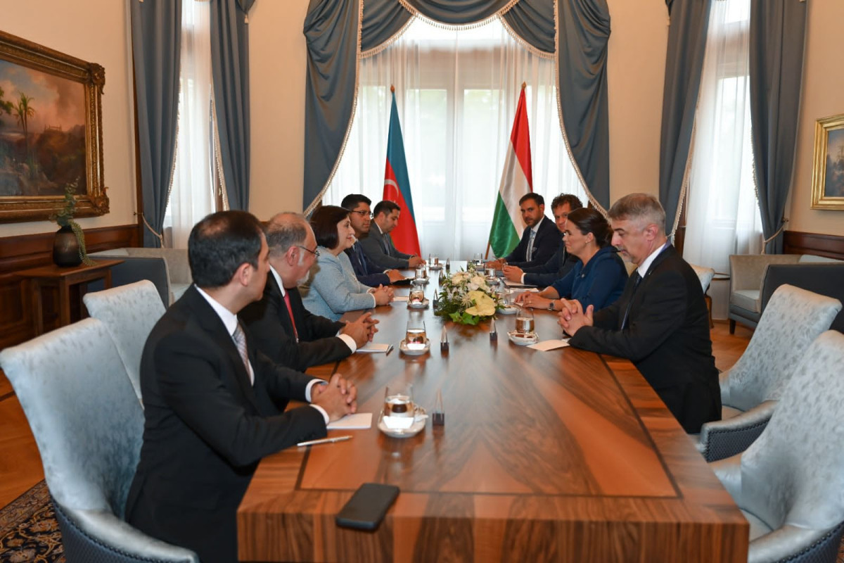 Azerbaijani Speaker spoke of Armenian occupation’s devastating impacts on Azerbaijani families’ lives at International Summit