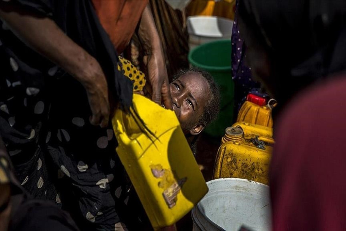 Nearly a quarter of a billion people face high levels of acute food insecurity: Report