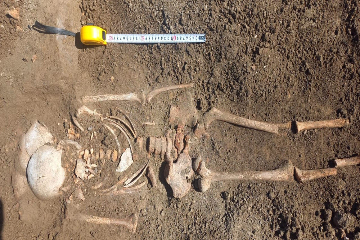 Human skeleton belonging to III millennium BC found in Azerbaijan-PHOTO 
