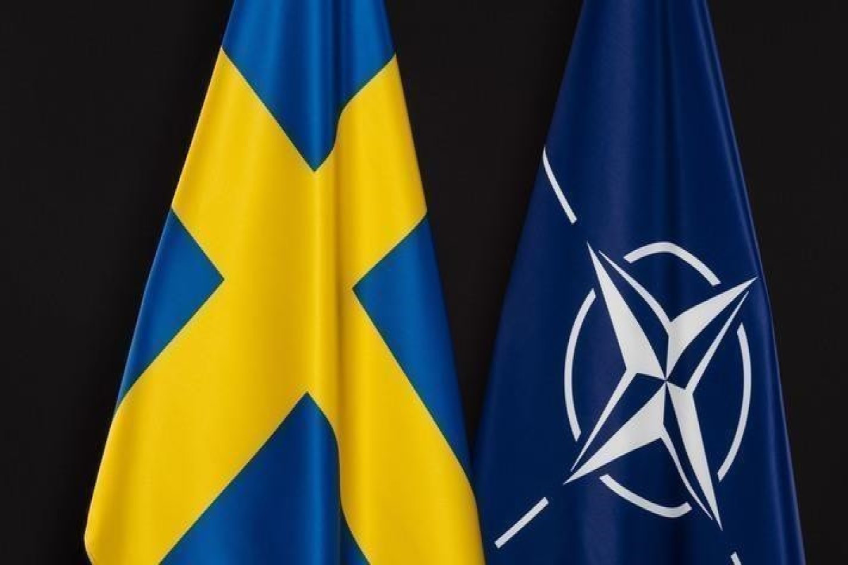 Hungary politician flags possible delay for Sweden's NATO bid