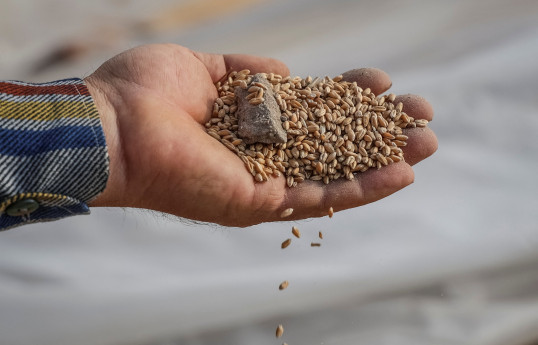 Ukraine to sue Poland, Hungary, Slovakia amid food import bans