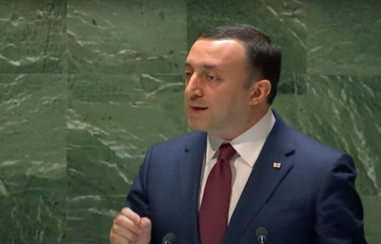  Georgian Prime Minister Irakli Garibashvili