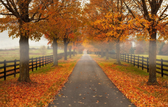 Autumn comes to Azerbaijan