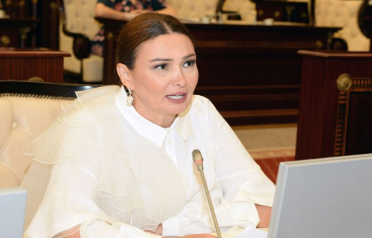 Azerbaijani MP Ganira Pashayeva fell into a coma