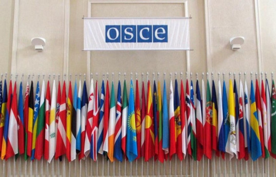 OSCE Permanent Council was informed on results of Azerbaijan's anti-terror measures and reintegration efforts