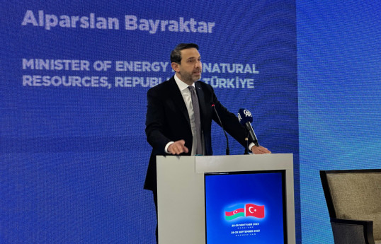 Turkish Minister: Our ties with Nakhchivan will be strengthened even more