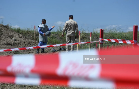 ANAMA: About 1.5 million mines were planted in liberated areas