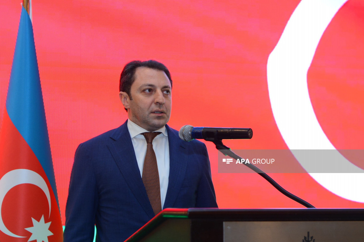 Elnur Mammadov, Deputy Foreign Minister of Azerbaijan
