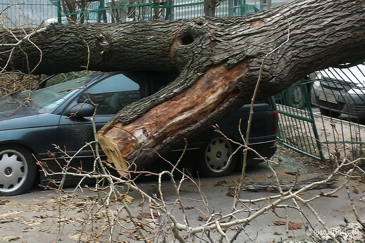 2 killed, 15 injured as strong winds batter Moscow