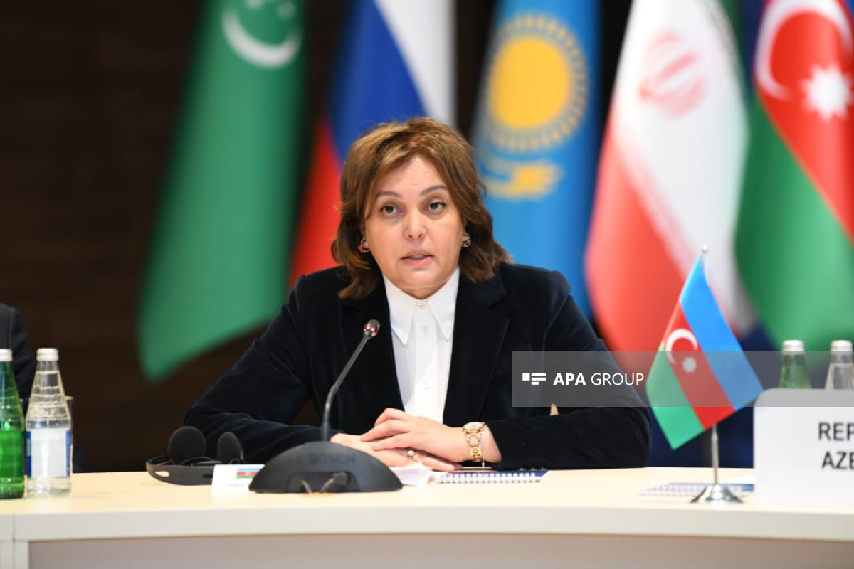 Environmental change problems in Caspian Sea will have an important place at COP29 - Azerbaijan Deputy Ecology Minister