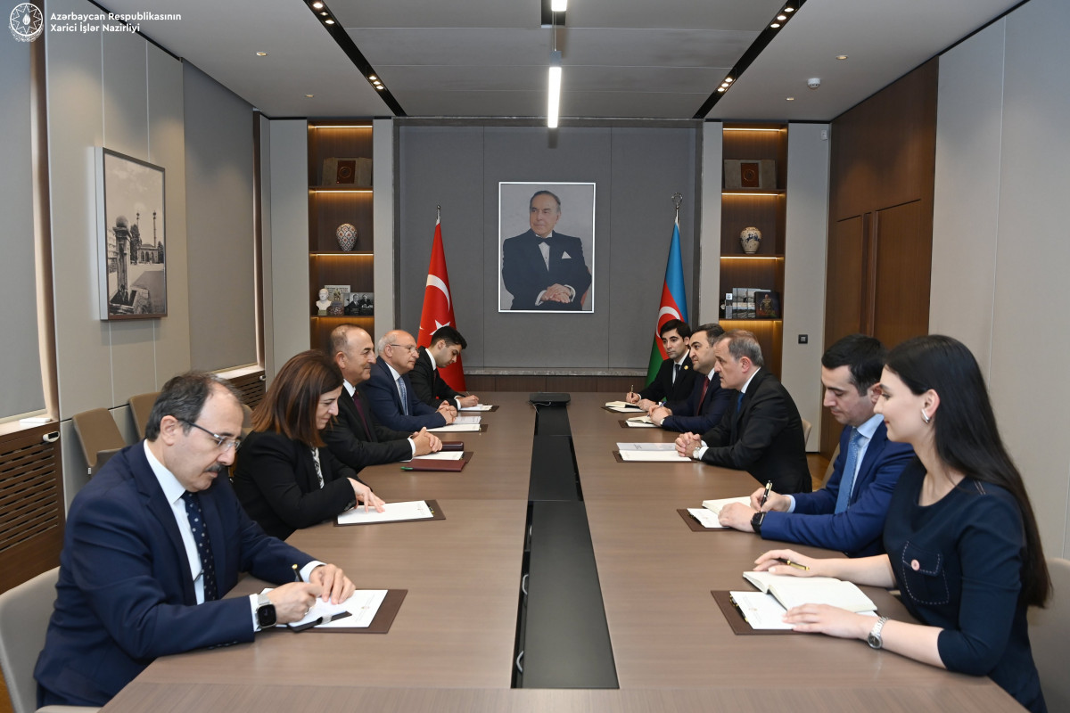 Azerbaijani FM and Head of Turkish Delegation to NATO PA mull regional situation-UPDATED 