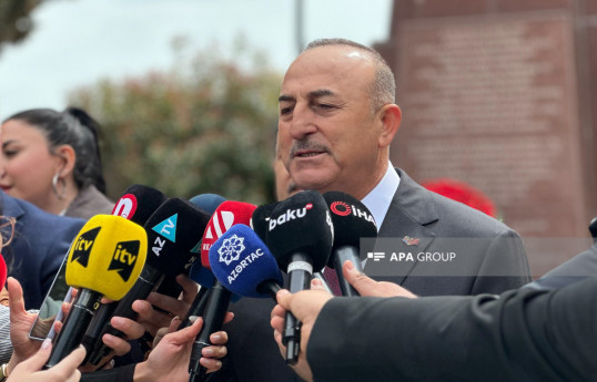 Mevlut Chavushoghlu, Head of the Delegation of the Turkish Parliament to the NATO PA, former Minister of Foreign  Affairs