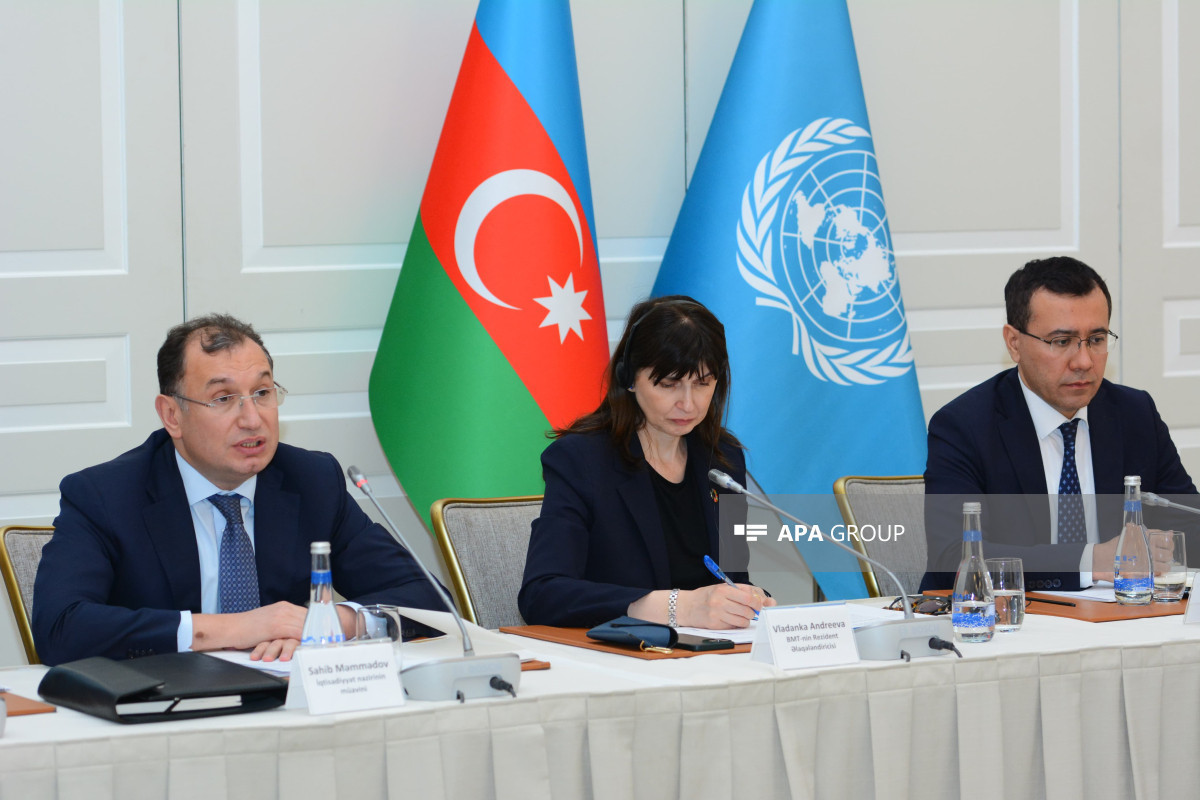 Existence of landmines in Garabagh and East Zangazur impedes the progress of economic rejuvenation, Deputy Minister says