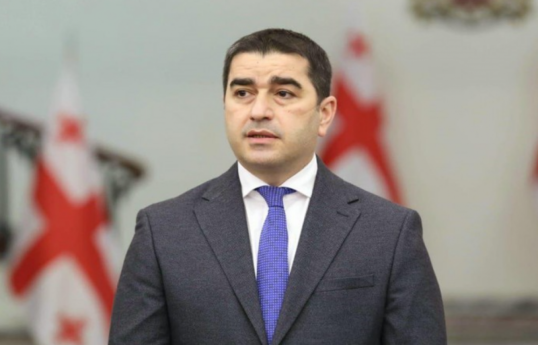 Speaker of Georgia Parliament Shalva Papuashvili