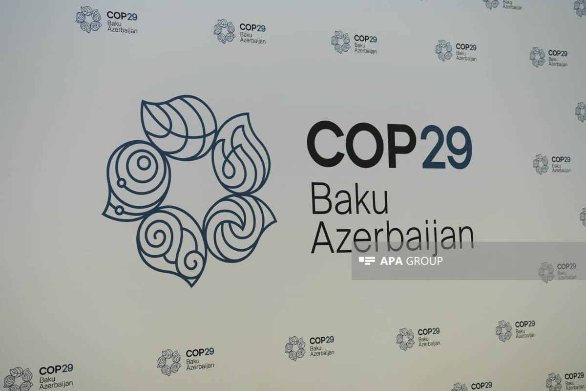 Azerbaijan presented COP29 logo
