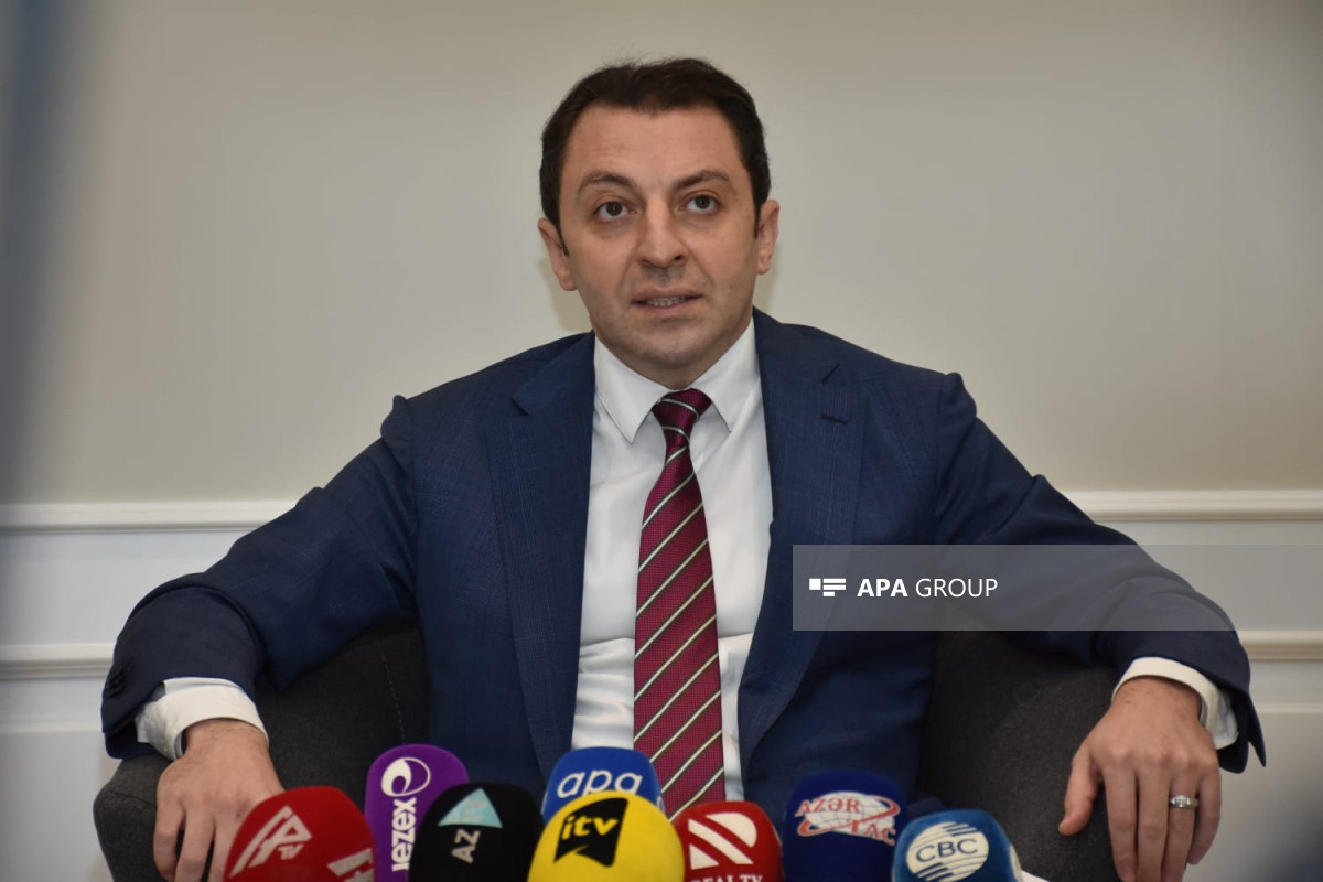 Elnur Mammadov, the Deputy Minister of Foreign Affairs of Azerbaijan