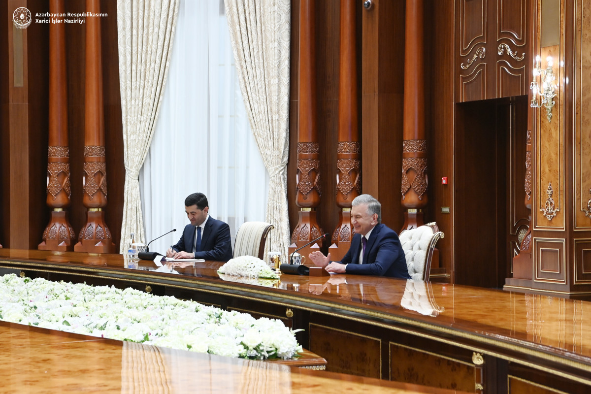Azerbaijani FM discusses agenda of bilateral cooperation with Uzbek President-UPDATED -PHOTO 