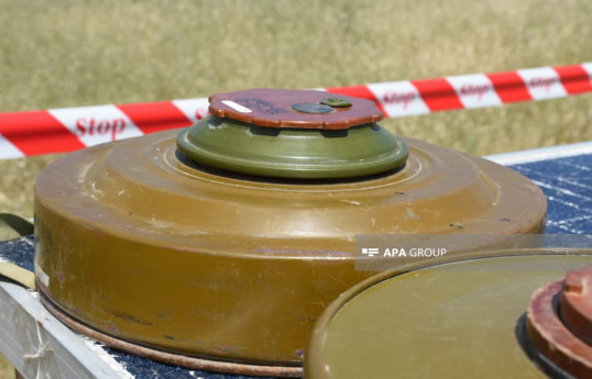 Azerbaijan's ANAMA finds 57 landmines, 718 UXOs in liberated territories