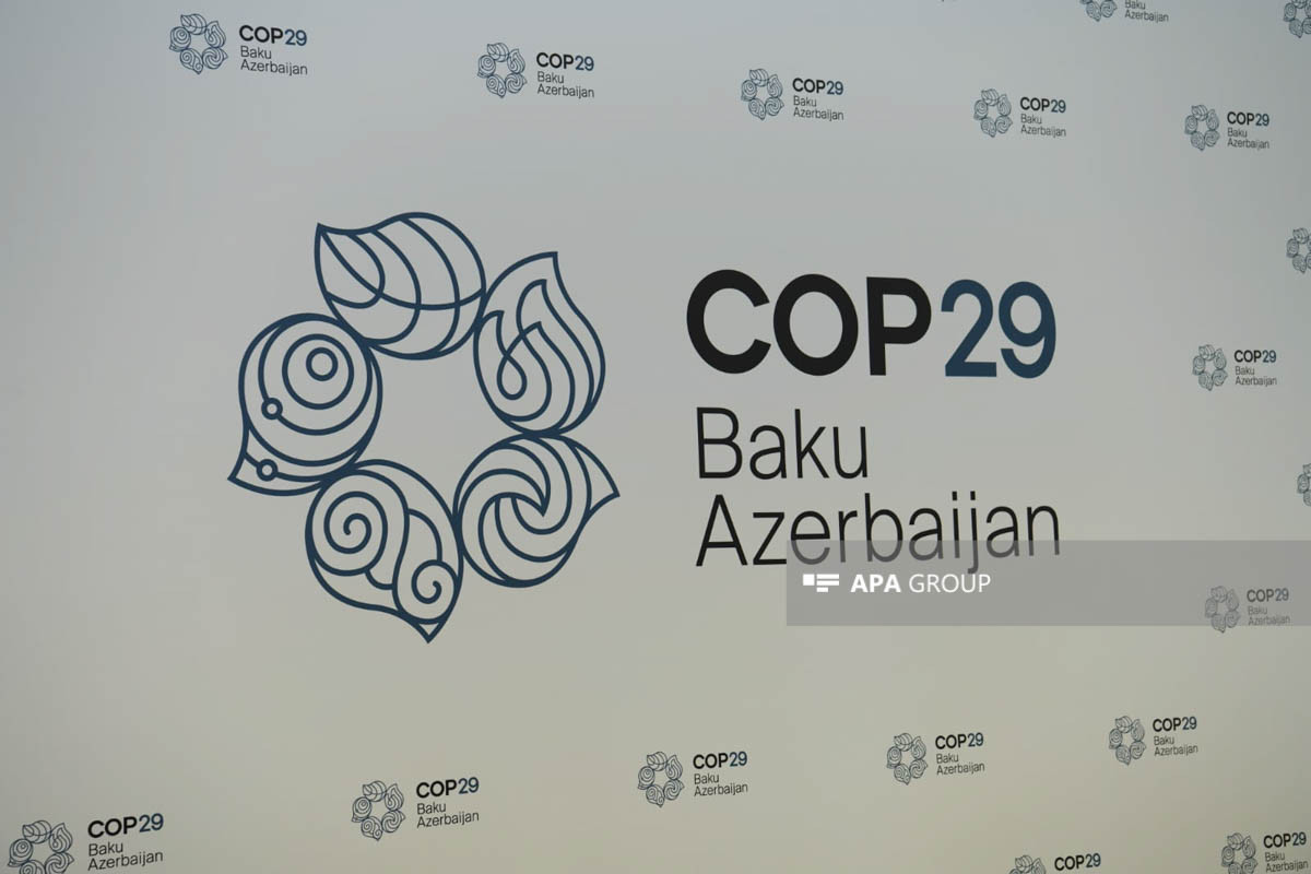 Azerbaijan Presented COP29 Logo