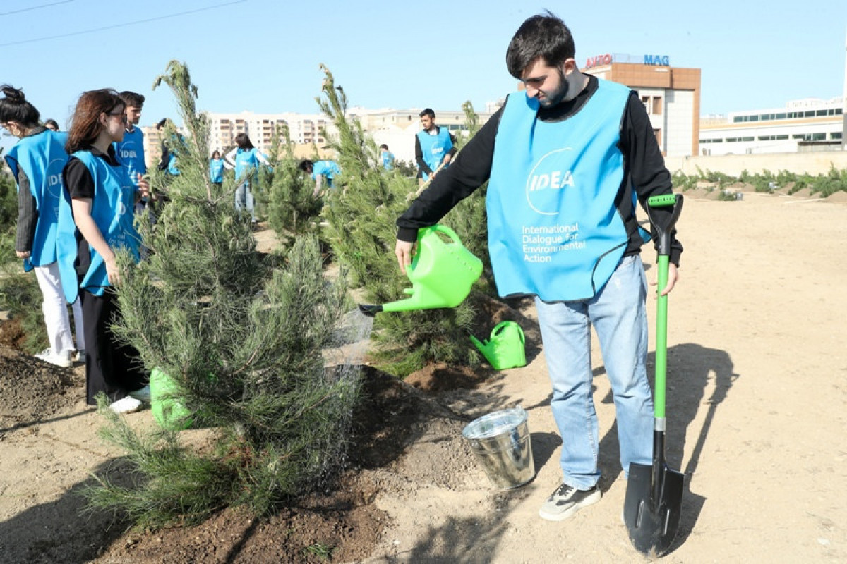 Tree-planting campaign held in Azerbaijan's Baku
