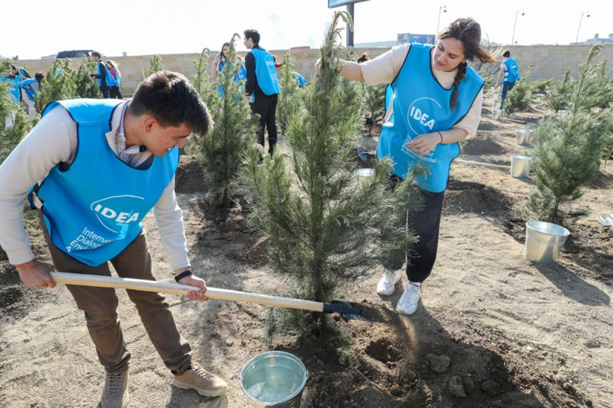 Tree-planting campaign held in Azerbaijan's Baku