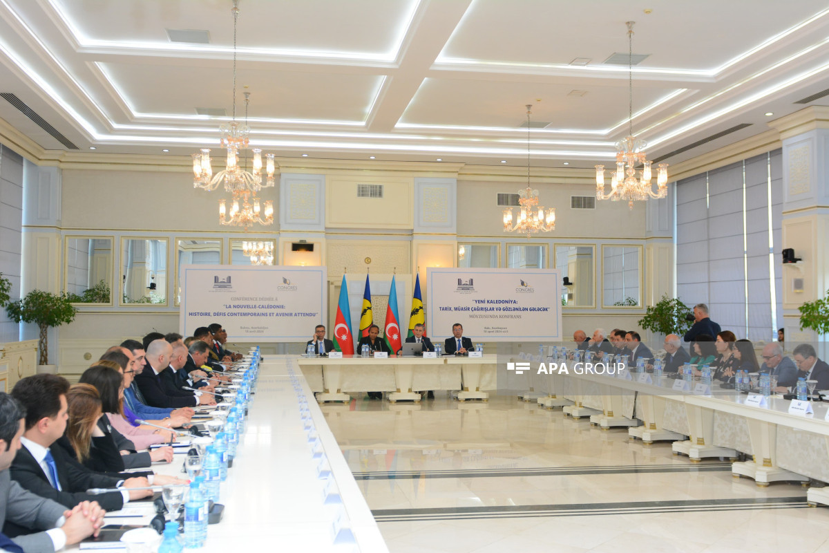 Gratifying to see Azerbaijani people with us in our fight for independence - New Caledonian Committee Chair - Vimarsana News