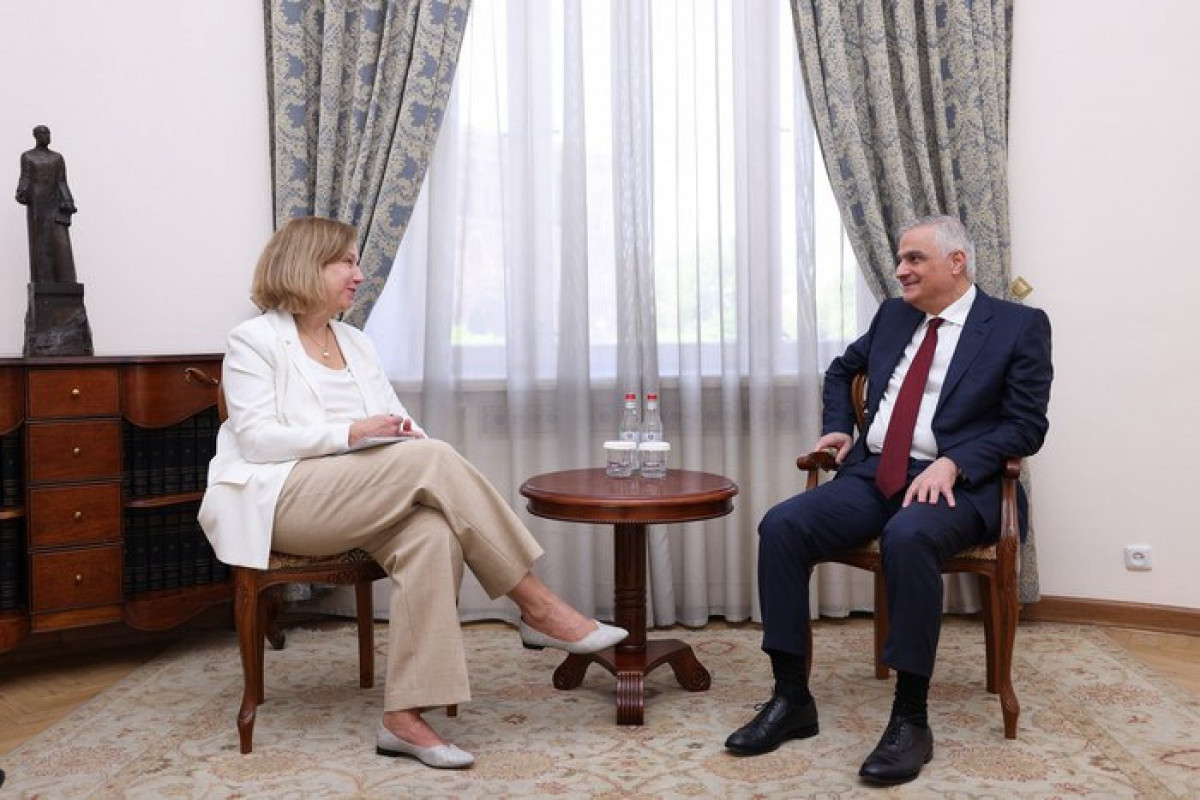 Armenian Deputy PM, US Ambassador mull delimitation issues
