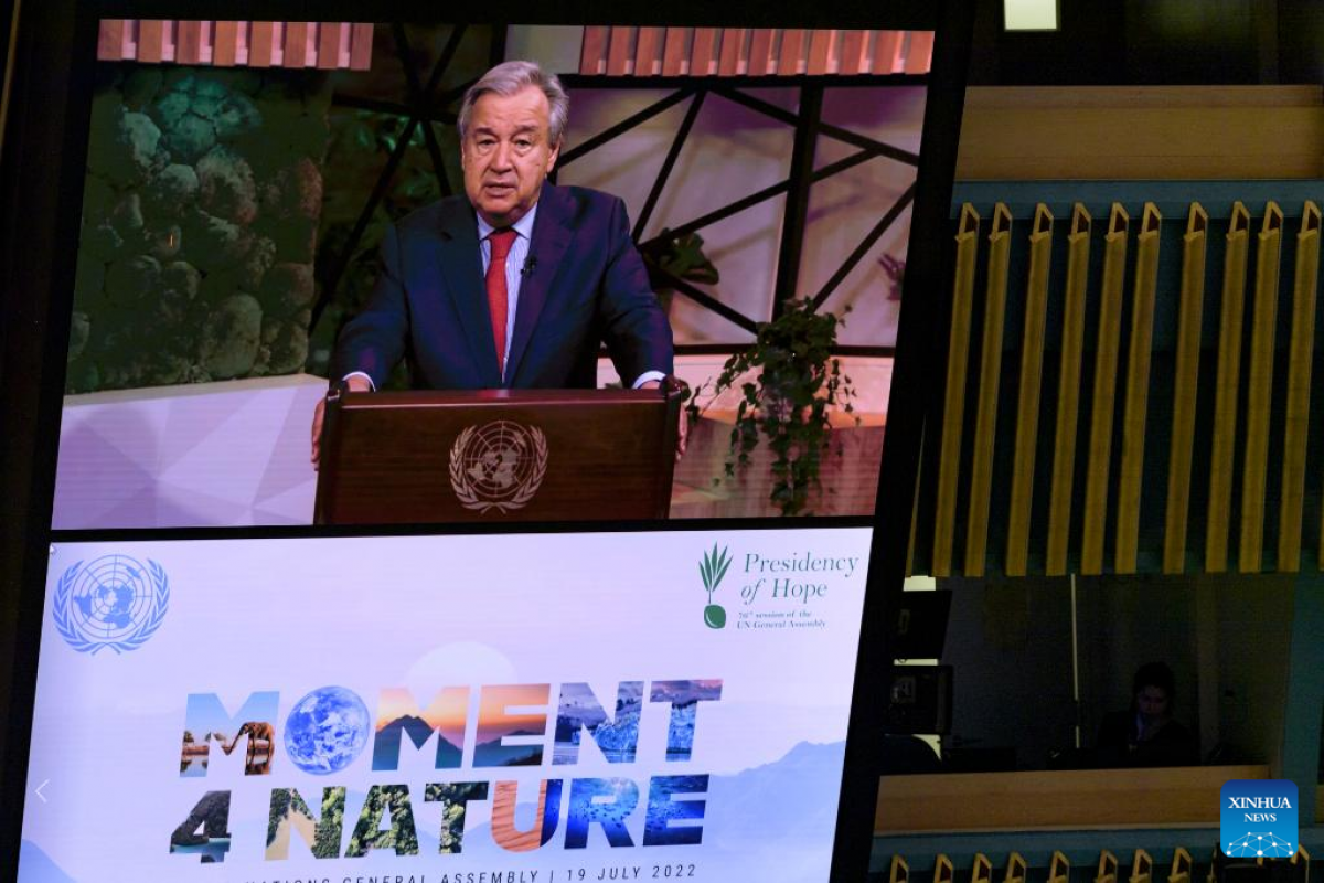 UN chief calls for urgent restoration of harmony with nature