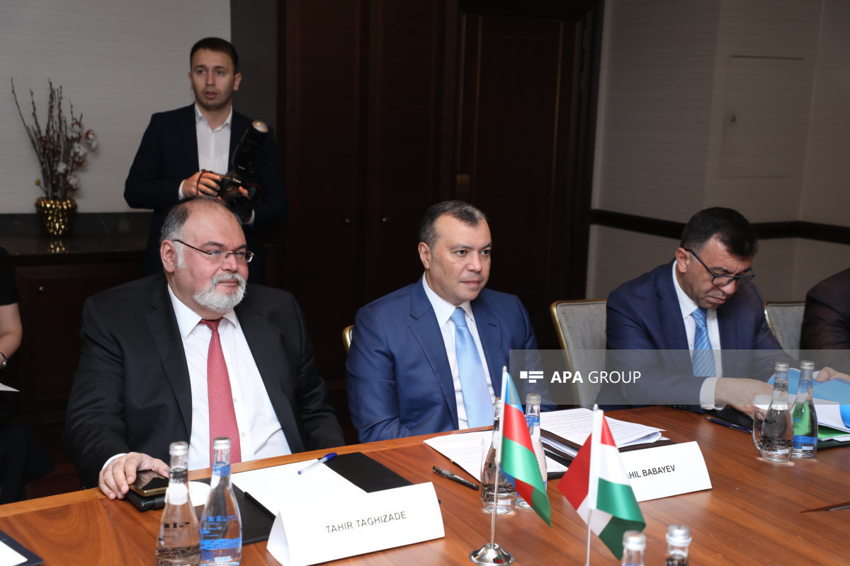 Minister: Number of flights between Azerbaijan, Hungary surprised me