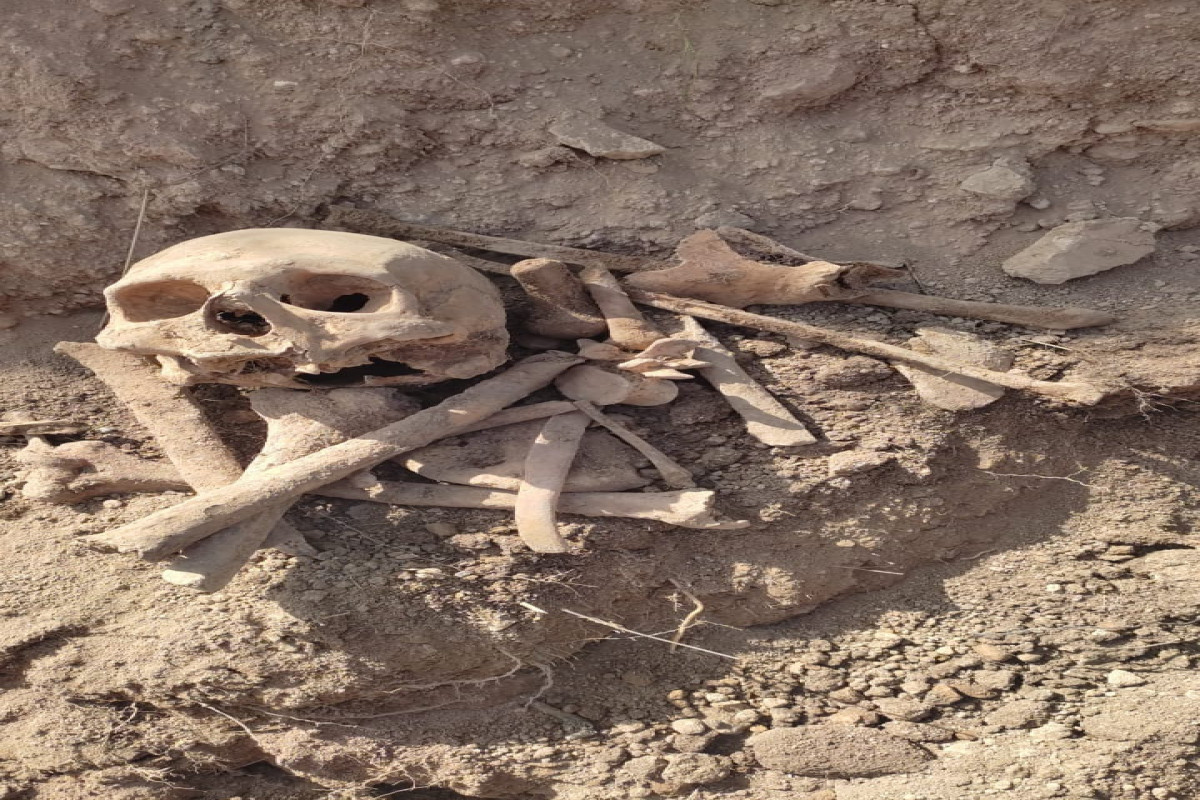 Azerbaijan's Khojali discovers remains of six more victims -VIDEO 