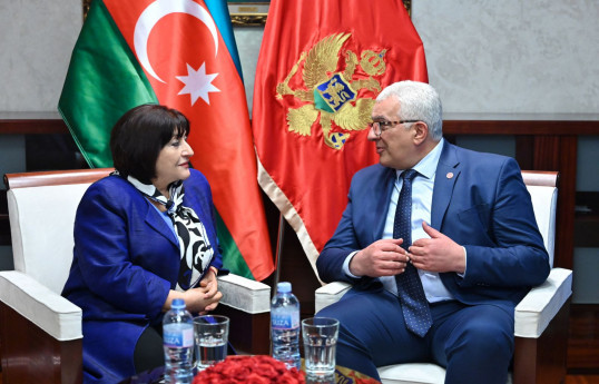 Azerbaijan's Parliament Speaker embarks on official visit to Republic of Montenegro-PHOTO 