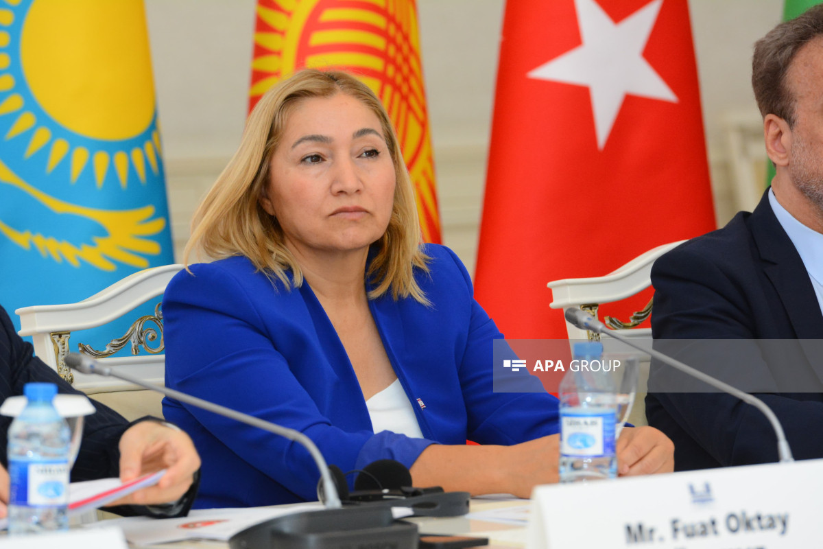 Azerbaijan's attitude towards Northern Cyprus should be an example to other Turkic states - Vimarsana News