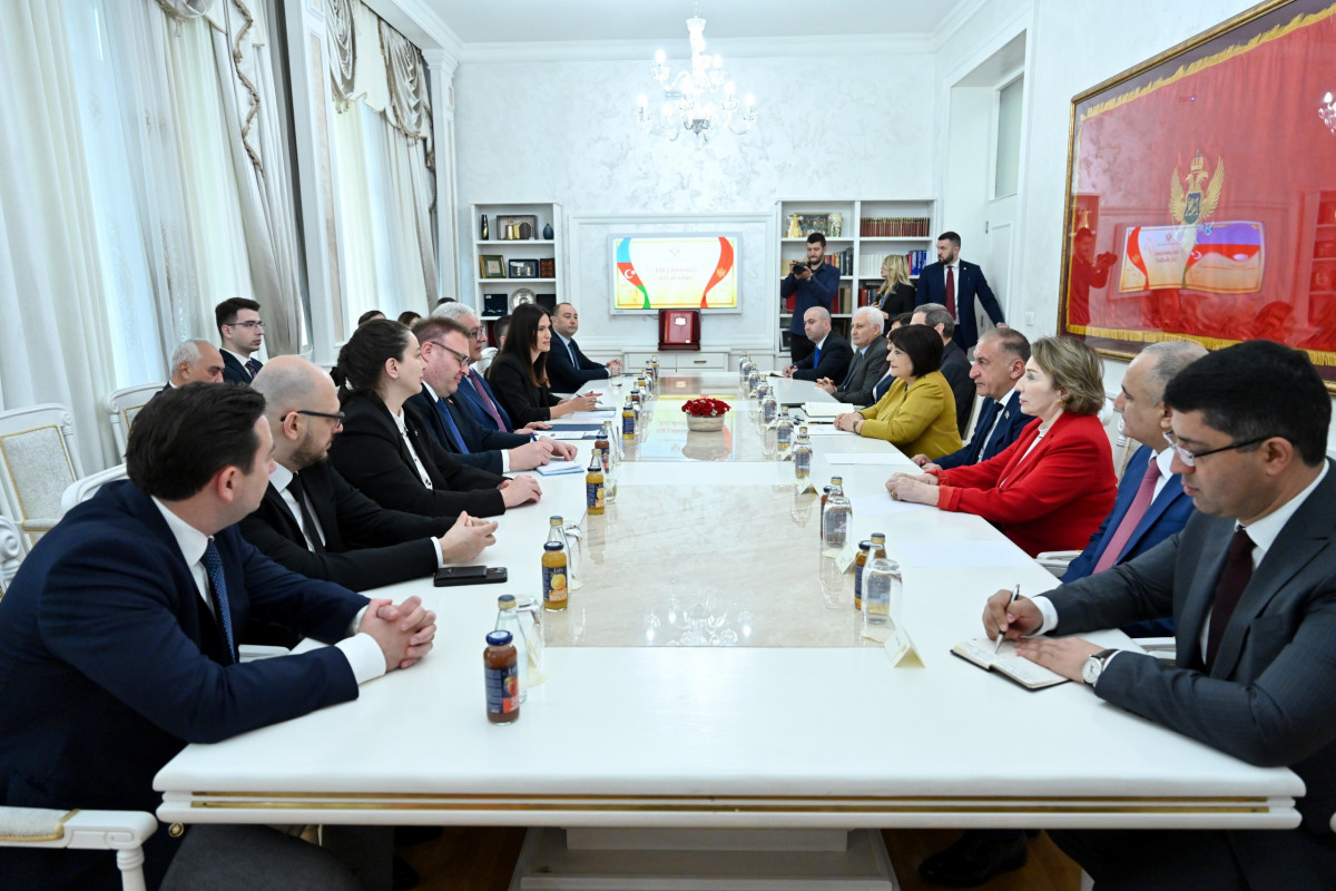 Speaker of Milli Majlis met with President of the Parliament of Montenegro-PHOTO 