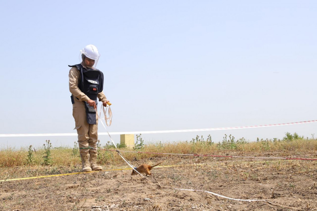 Aghdam hosted meeting of Working Group on Clearing of Mines and Unexploded Ordnances-PHOTO 