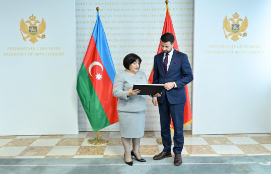 Speaker of Azerbaijani Parliament presented letter of invitation to COP29 to Montenegrin President