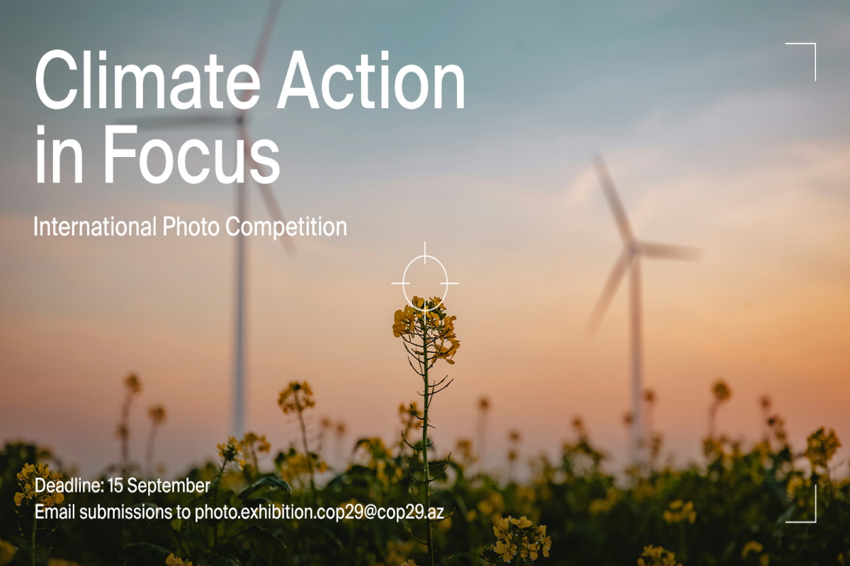 Climate Action in Focus: COP29 Azerbaijan operating company launches international photo competition