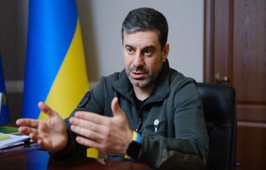 Dmytro Lubinets, Ukrainian Ombudsman
