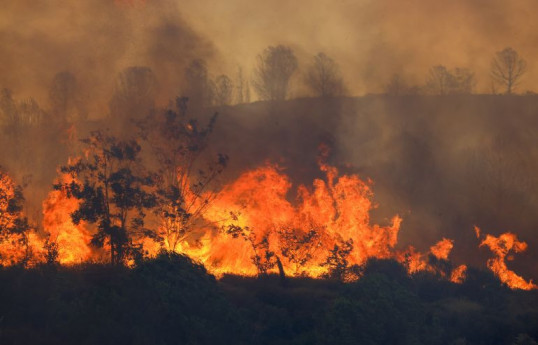 Forest fires in Türkiye spreads to residential areas