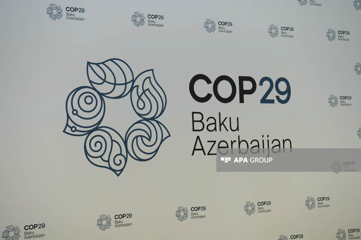 Mukhtar Babayev to Meet with Members of the COP29 NGO Coalition