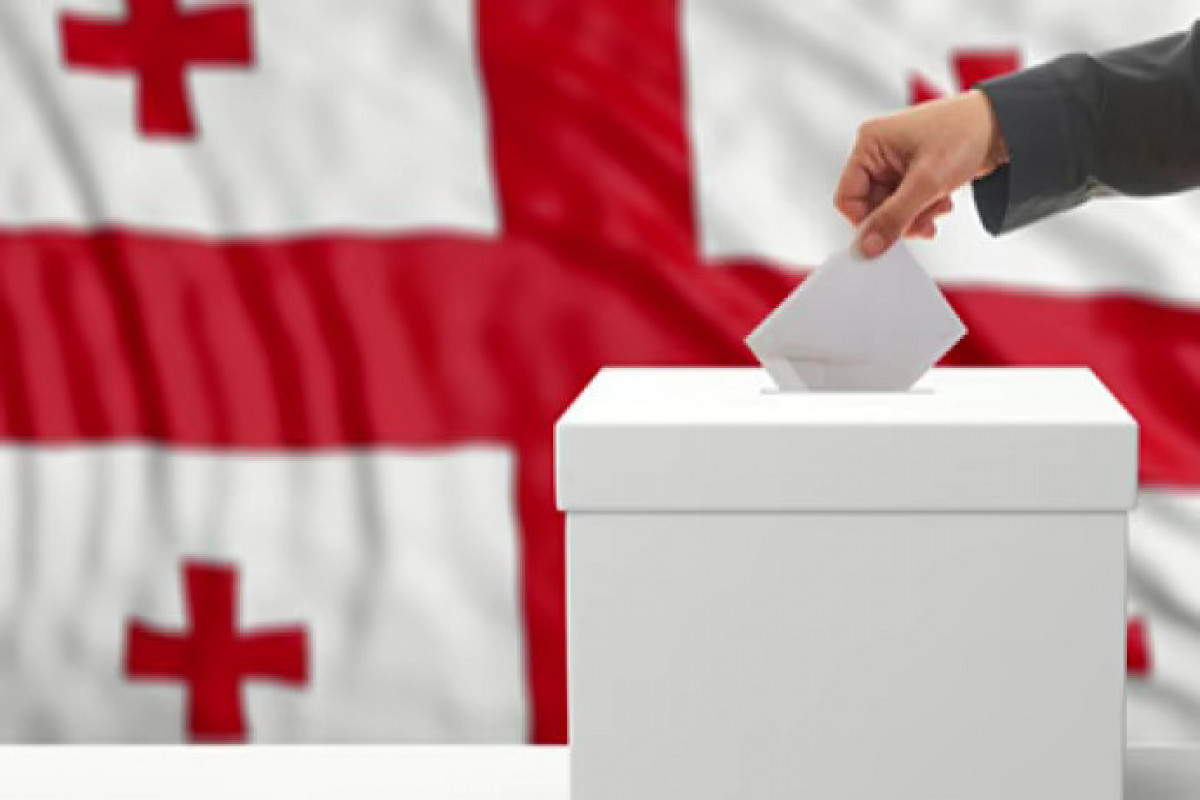 Georgian government accuses a number of international organizations of interfering in pre-election processes