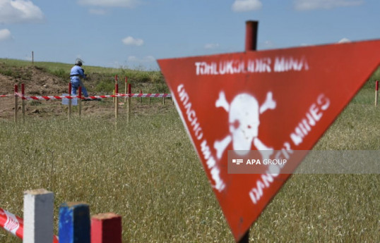 Azerbaijan's ANAMA finds 163 landmines, 203 UXOs in liberated territories over last month