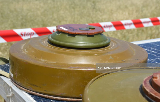 Armenian servicemen have planted landmines in forested areas around Khojaly, Shusha - Azerbaijani Defense Ministry