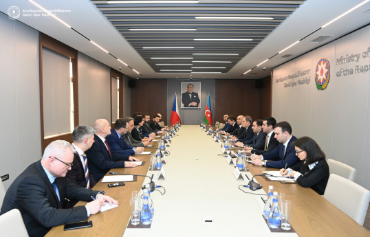 Azerbaijani FM receives Czech Republic's President of Chamber of Deputies