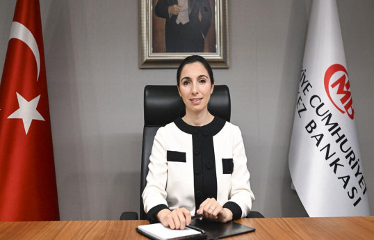 Hafize Gaye Erkan, Turkish Central Bank Governor