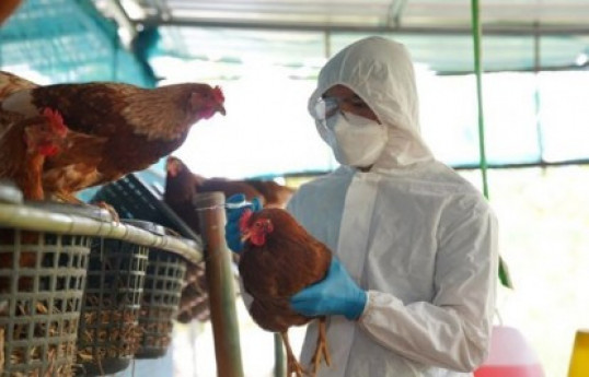 H5N1 bird flu detected in Laos