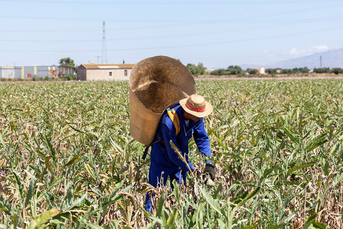 Spanish farmers join wave of protests