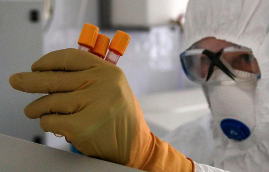 Rio de Janeiro declares dengue health emergency days before Carnival is due to start
